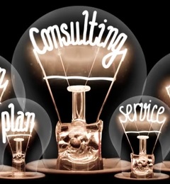 Consulting Services