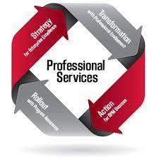 Professional Services